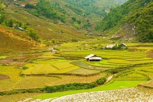 Rice paddies in the mountains, Vietnam photo