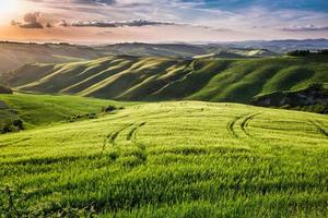 Beautiful view of the country footpath at sunset in Tuscany photo
