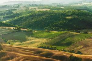 paisaje rural de toscana verde, italia foto