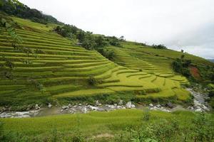 Terraced fields in Hoang Su Phi, Ha Giang, Vietnam. photo