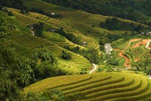 Terraced fields in Hoang Su Phi, Ha Giang, Vietnam. photo