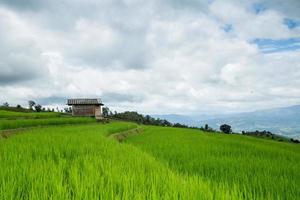 Green rice field terrace and wooden hut.