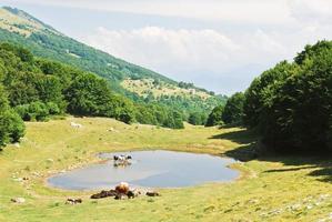 rural view in Monte Baldo mountains, Italy photo