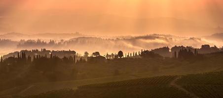 Tuscan Landscape in the morning