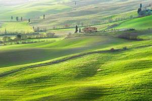 Atmosphere green spring in a landscape of Tuscany, Italy