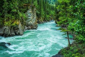 río azul que atraviesa un bosque foto