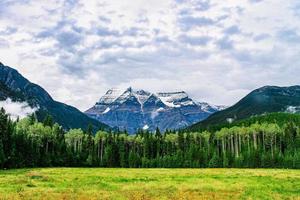 Open field in front of a forest and mountains photo