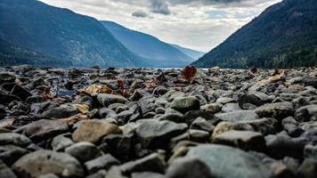 rocas cerca de las montañas foto