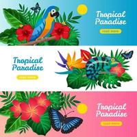 Tropical horizontal banner set vector