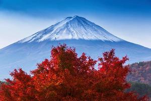 Beautiful Mt Fuji with Red Maple tree in Autumn photo