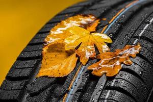 Tire with autumn leaves and rain