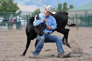 Cowboy Wrestling a Steer