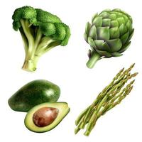 conjunto de verduras realistas vector