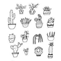 Hand Drawn Cactus and Succulents vector