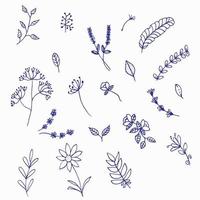 Hand Drawn Floral Elements vector