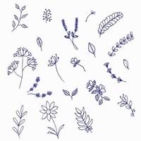 Hand Drawn Floral Elements vector