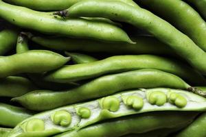 Close up of bean pods photo