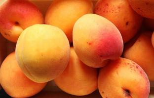 Close up of apricots photo