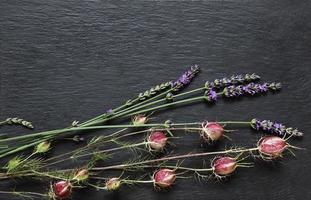 Damascus nigella and lavender sprigs photo