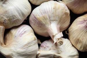 Many heads of garlic photo