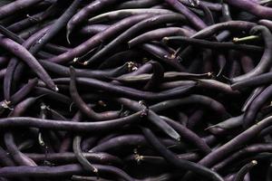 Purple French beans photo