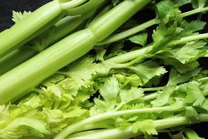 Photograph of a bunch of celery for food background