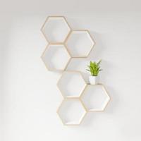 Hexagon 3D shelf with plant decoration photo