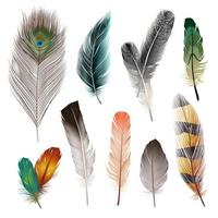 conjunto de plumas realistas vector