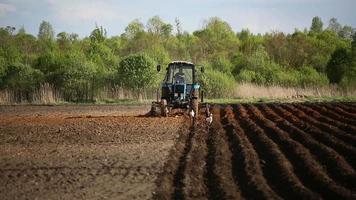 agricultor en tractor y pájaros preparando la tierra para la siembra.
