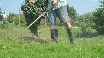 jardineiro corta a grama com um cortador de grama ao ar livre video