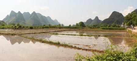 Panorama with rice field and green hills in Yangshuo photo