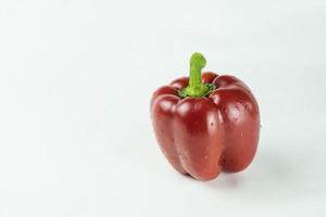 Red bell pepper on white background photo