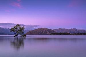 Tree in body of water near mountains photo