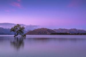 Tree in body of water near mountains