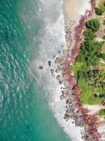 Aerial view of green trees on a beach photo