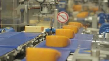 fábrica de queso - línea de montaje video