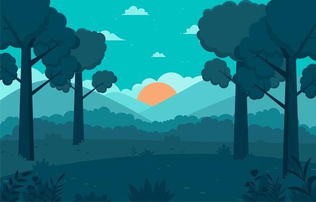 Tree Background In The Forest In The Morning