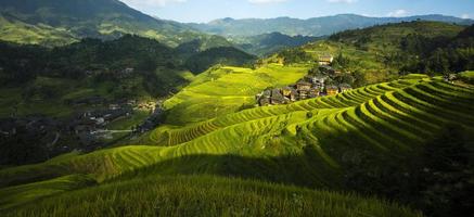 arrozal en longsheng