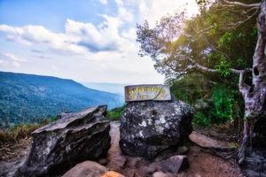 Rocks in the forest photo