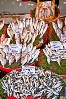 Fish shop in Istanbul photo