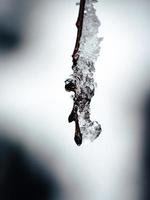 Icicle close up photo