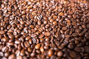 Close-up of coffee beans photo