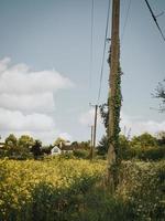 Line post near a house photo