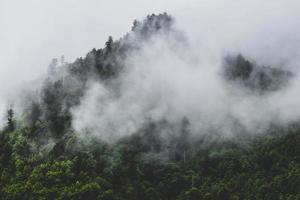 montañas brumosas de colorado foto