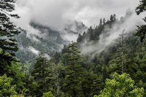 Foggy Colorado mountains photo