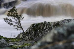 Waterfall behind tree and rocky shore photo