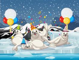 Grupo de focas en personaje de dibujos animados de tema de fiesta sobre fondo de la Antártida vector