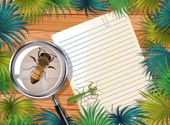 Top view of blank paper on table with insects