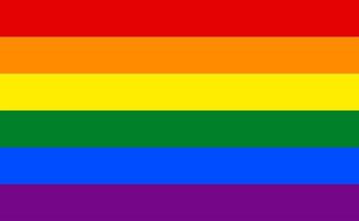 LGBT rainbow flag vector