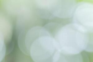 Natural soft bokeh background photo